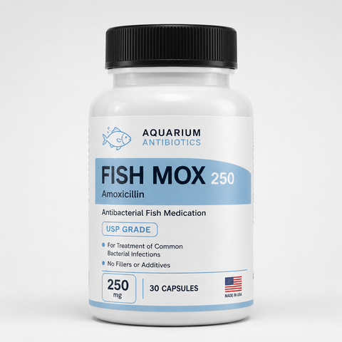 Fish Mox 250mg - 30 count