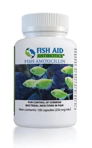 A bottle of Fish Aid Antibiotics Fish Amoxicillin with a label showing green fish and antibiotic details.