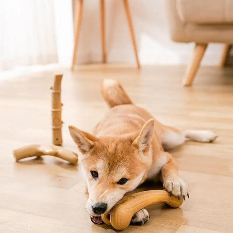 Durable dog chew toy with beef flavour.