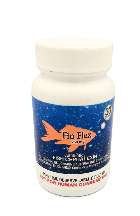 Fish Ceph 250mg 30-Capsules