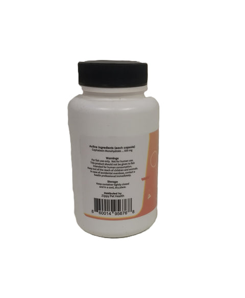 Fish Ceph 500mg 60-Capsules