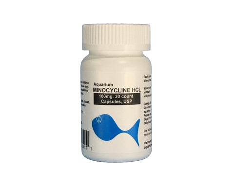 Fish Mino 100mg 30-Capsules