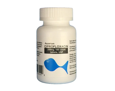 Fish Flox 250mg 100-Capsules