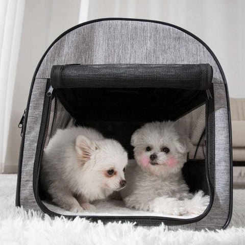 Practical foldable dog transport bag.