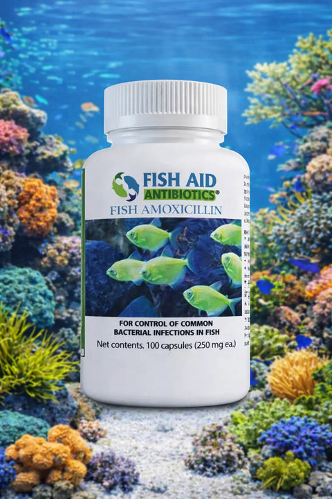 Fish Mox 250mg 100-Capsules - Fish Vet Supply