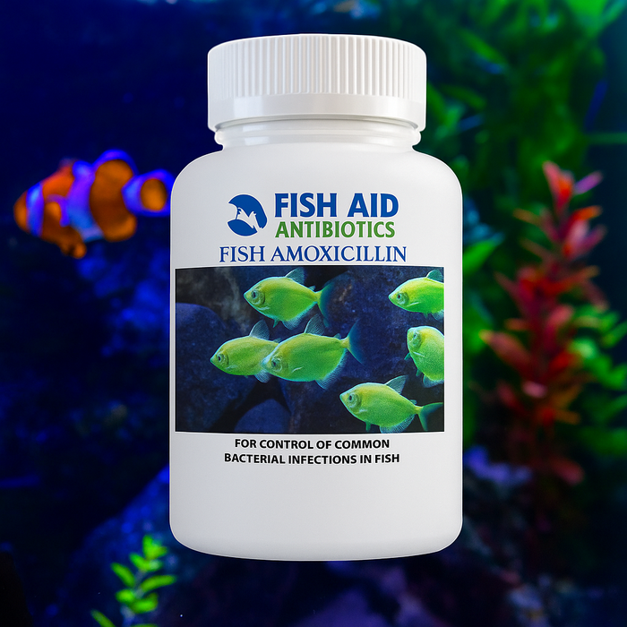 Fix Mox (Amoxicillin) Capsules Fish Antibiotics, 500-mg, 100-count