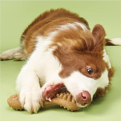 Premium durable dog chew toy.
