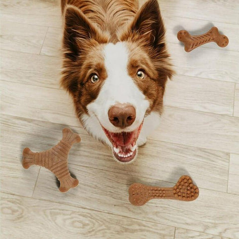 Premium durable dog chew toy.