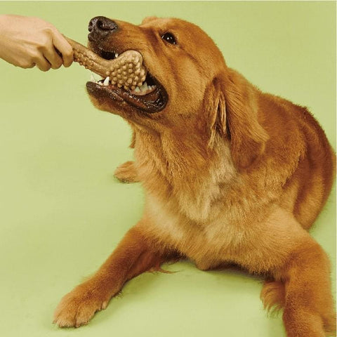 Premium durable dog chew toy.