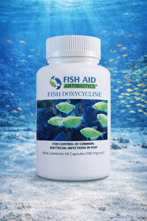 Fish Dox 100mg 60-Tablets
