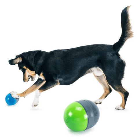 Ricochet Electronic Dog Toy.