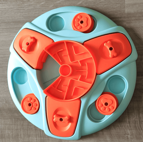 Brain-Boosting Feeders for Clever Dogs.