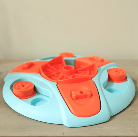Brain-Boosting Feeders for Clever Dogs.