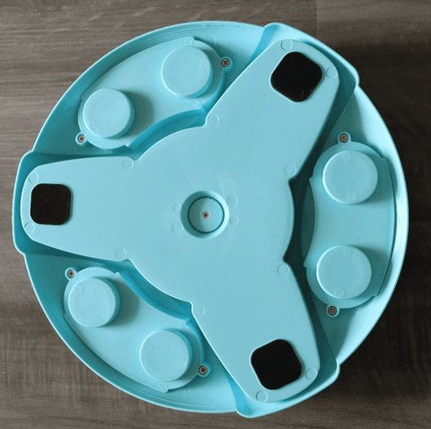 Brain-Boosting Feeders for Clever Dogs.