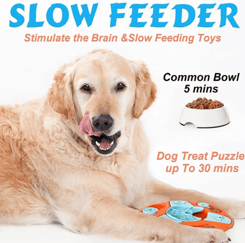 Brain-Boosting Feeders for Clever Dogs.