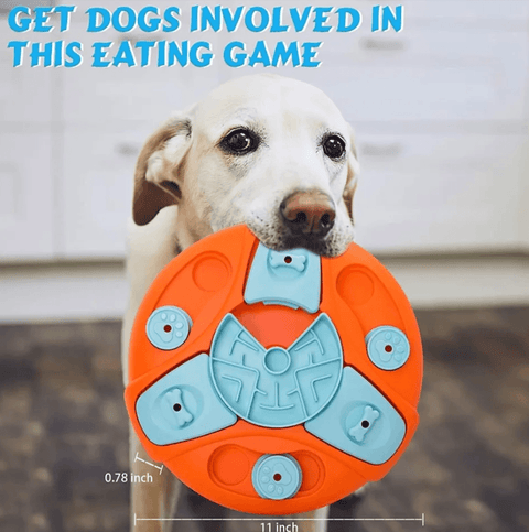 Brain-Boosting Feeders for Clever Dogs.