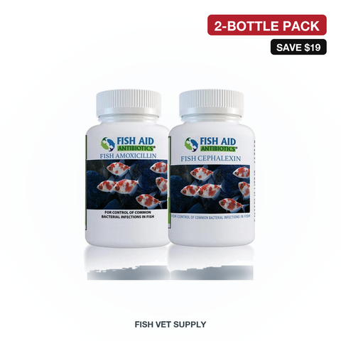 Fin Rot & Bacterial Starter Pack (Fish Mox 500 + Fish Ceph 250)