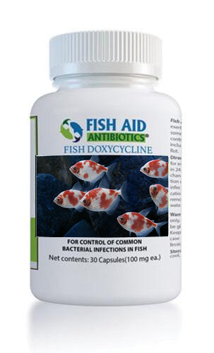 Fish Dox 100mg 30-Tablets