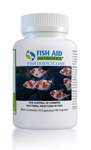 Fish Dox 100mg 60-Tablets