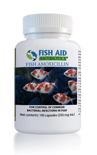 Fish Mox 250mg 100-Capsules
