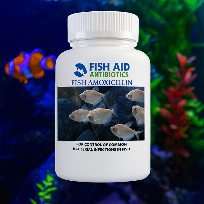 Fish Mox 500mg Capsules