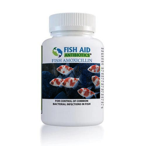 Fish Mox 500mg - 30 count