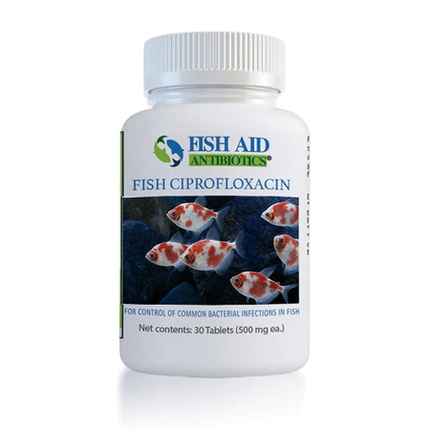 Fish Flox 500 - 60 Capsules